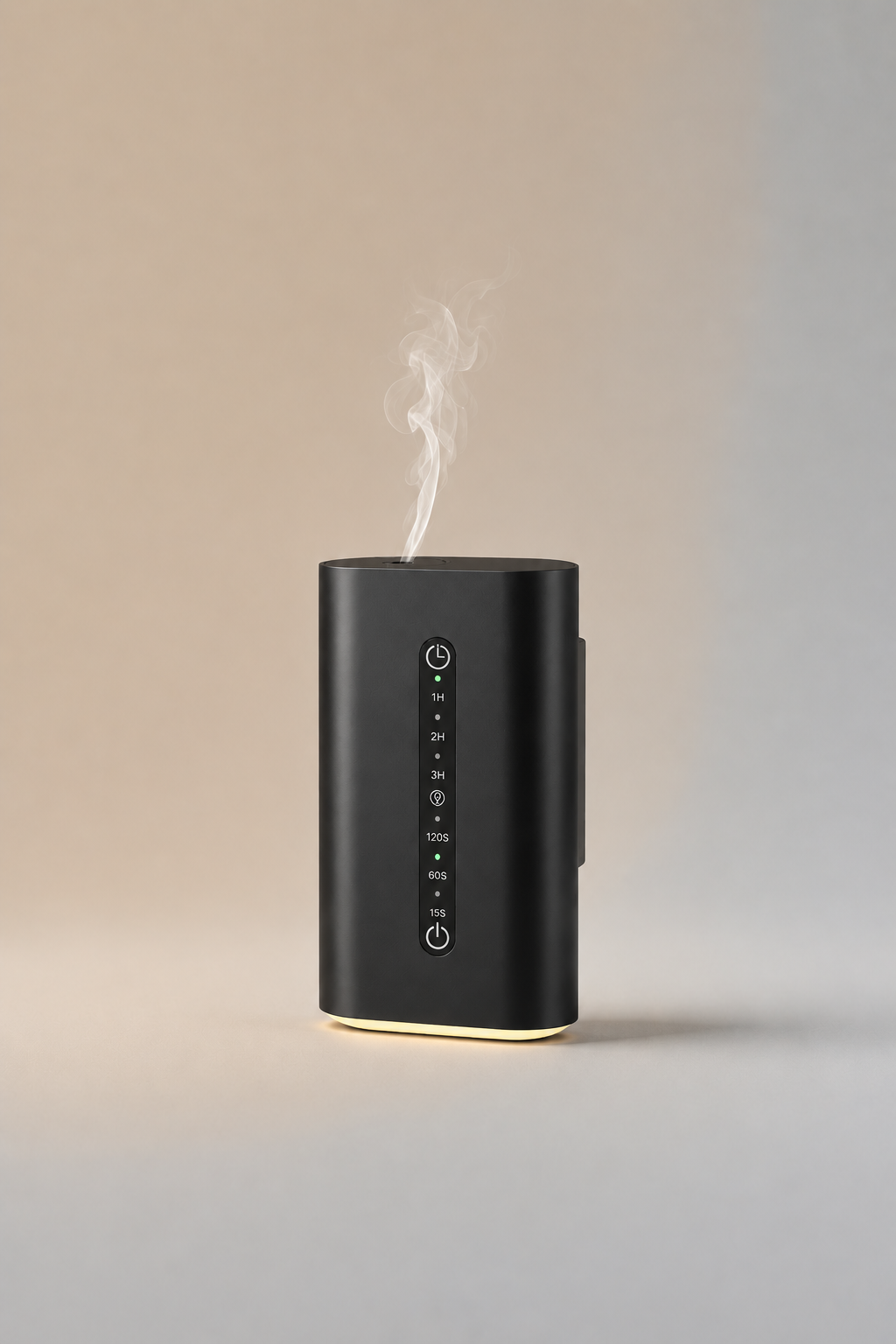 Black Plug in Diffuser